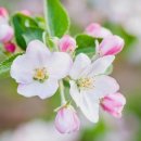 삼일특장 이미지