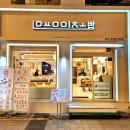 서면 | 부산 서면 초밥 혼밥 회전스시 맛집 용이초밥 서면점 후기