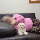 새날요양원 이미지