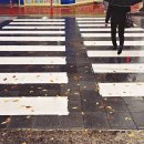 은행나무한의원 이미지