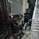 하마렌탈 | 미야코지마 뚜벅이 여행🚲자전거 렌탈 후기