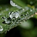 (주)케이엠바이오 이미지