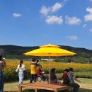 칠곡네거리 교통섬 이미지