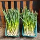 원미종합시장 이미지