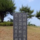 김지남 비갈 및 묘 네이버블로그