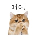 네로 네일