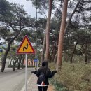 솔밭흙집 이미지