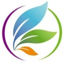 토요)실무엑셀과 파워포인트 | ETEST 자격증, 워드 엑셀 파워포인트 실무 정복 로드맵