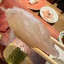 모리참치 | 서면 이슈모리 솔직후기/두툼한 초밥과 미친 비주얼 후토마키