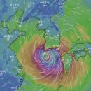 제주댕댕스푼 이미지