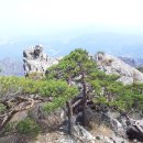 해오름산악회 제 161차 가야산(합천) 산행안내 이미지