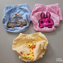 [이른둥이 육아일기] 27개월 : 체중, 유아식, 발달, 놀이, 수면