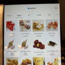 45-A | 용인애견카페, 테일45 프라이빗A 이용후기