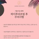 봄에스테틱 이미지