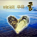 향토집 Daum카페