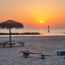 울진식자재마트 이미지