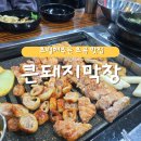 흥해젓갈 | 포항 막창 초벌 해주는 집 [큰돼지막창] / 테이블당 1인분 무료 제공 이벤트