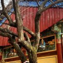 통일기원 미륵대불 이미지