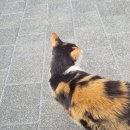 송촌세탁소 | 6月- 내곁을 지켜주는 따뜻한 사람들••