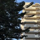 D family | [나고야][베이스 레이어 호텔 나고야] FAMILY ROOM B 4인 숙박 후기 | 조식 | 캐리어 보관 | 트립닷컴...