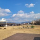 금호강오토캠핑장 이미지