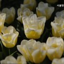 온마음방문요양센터 이미지