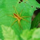 대치초등학교 이미지