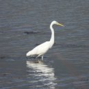 농암로(예안면) 이미지