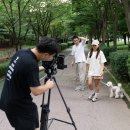 어니스트독(HONEST DOG) | 필아웃크루