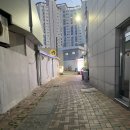 뭉티기생고기