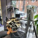 딸기네샵 이미지