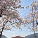 아린농장 이미지