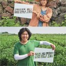 일로만난사이