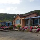 느티나무 민박 이미지