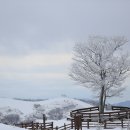 천사로목장 이미지