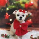 콩이네 이발소 이미지