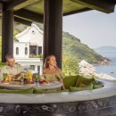 시트론(Citron) 이미지