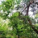 영축산순환산책로(광운대역) 이미지