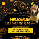 스와니 펜션 | 🎃 BRAVO CAMP HALLOWEEN FESTIVAL 프로그램 경품 안내