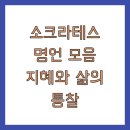 서양철학에서 배우는 삶의 지혜 | 소크라테스 명언 모음 지혜와 삶의 통찰