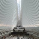 물질 쇼핑 대신 경험을 쇼핑해라