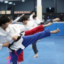 정다움 태권도장 이미지