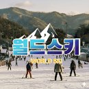 강촌 주차장 | 엘리시안강촌 시즌권 스키장 렌탈샵 후기