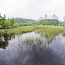 노작호수공원 이미지