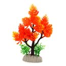 아쿠아테라 수족관 이미지