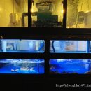 잘차려진 바다 이미지