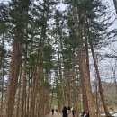 새만금사우나 | 변산반도 여행 코스 추천, 내소사 격포항 소노벨변산 새만금 방조제