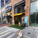 슈슈댕 구래점 이미지