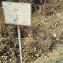 시미1리 이미지