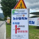 늘보마을 이미지